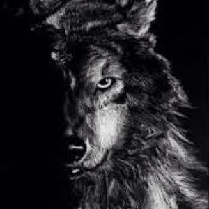 Meet your Posher, Victor